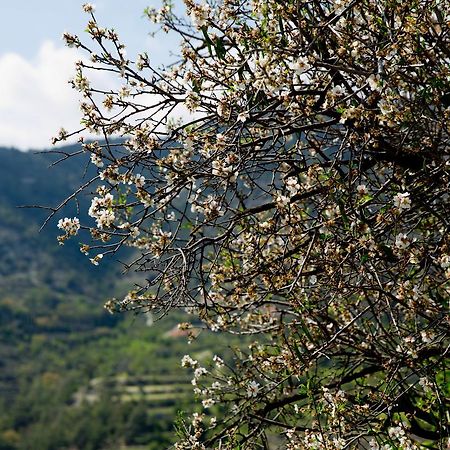 The Old Olive Mill House By Trulycyprus Villa Dhoros Eksteriør bilde