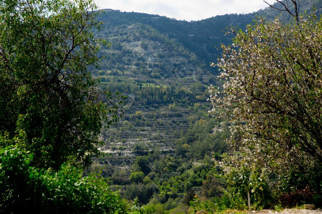 The Old Olive Mill House By Trulycyprus Villa Dhoros Eksteriør bilde